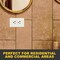 Faith Duplex Straight Blade Receptacle, 5-20R, 20 A, 125V AC, 2 Pole, 3 Wire, Flush Mount, Grounded SSRE4-WH-10 - alternate 3
